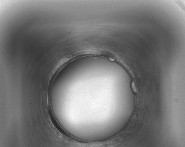 X0000062150011200512121320