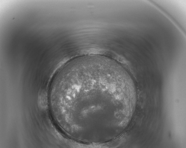 X0000062150012200512121320