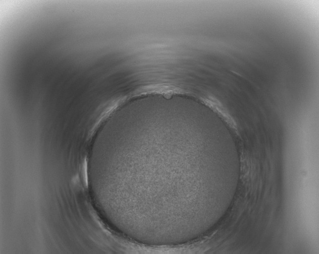 X0000062150014200512121320