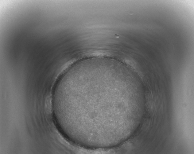 X0000062150016200512121320