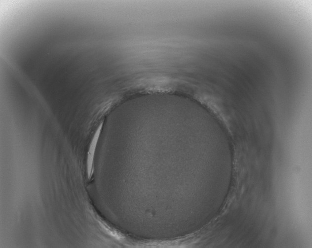 X0000062150017200512121320