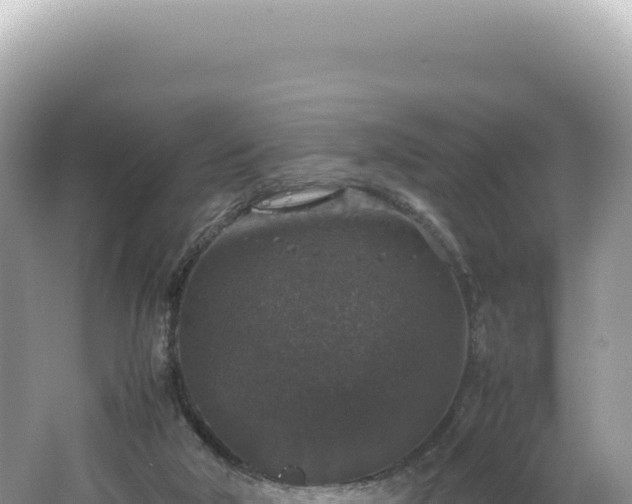 X0000062150018200512121320