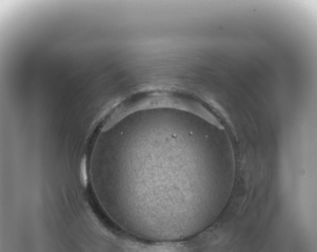 X0000062150020200512121320