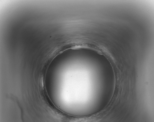 X0000062150021200512121319