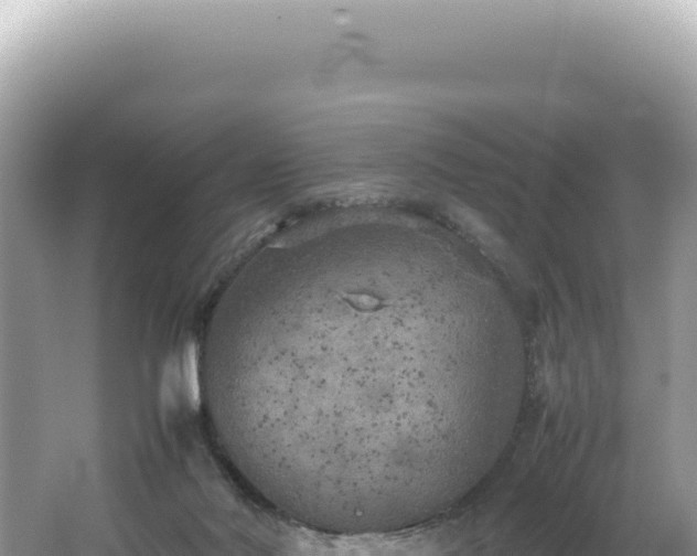 X0000062150022200512121319