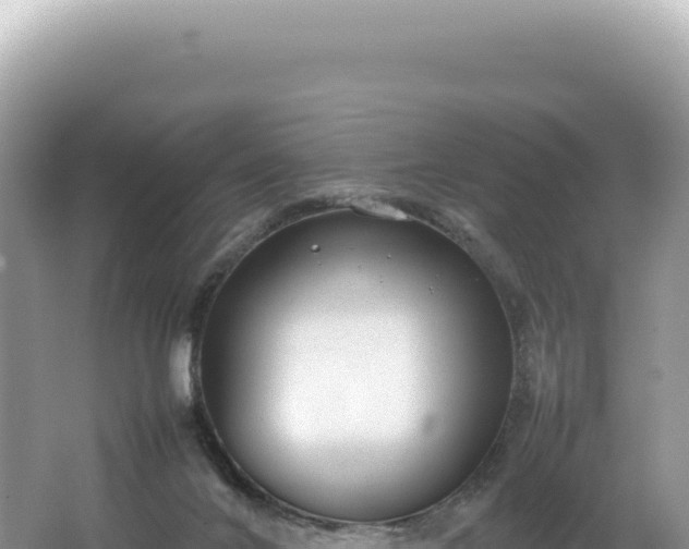 X0000062150024200512121319