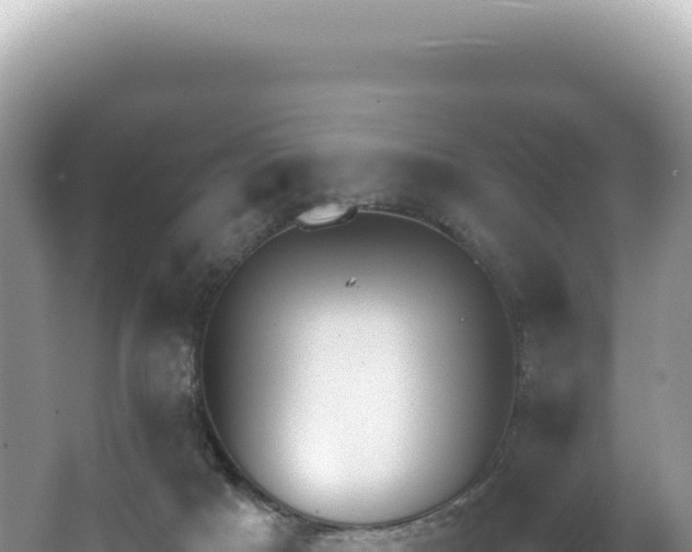 X0000062150025200512121319