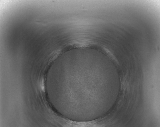 X0000062150026200512121319