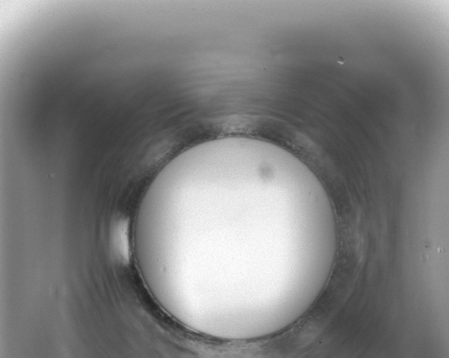 X0000062150028200512121319