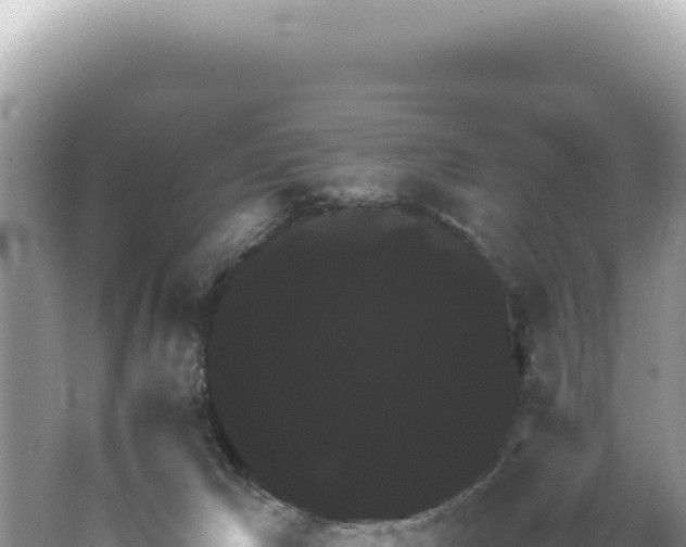 X0000062150029200512121319