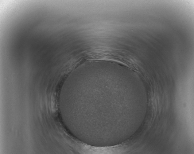 X0000062150030200512121319