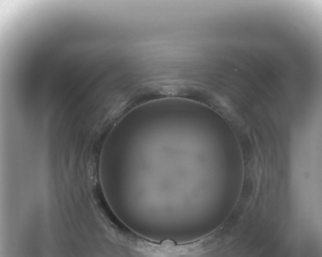 X0000062150031200512121319