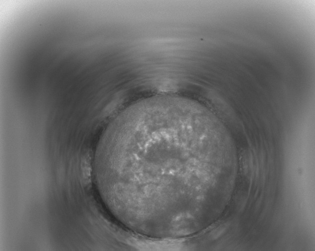 X0000062150032200512121319