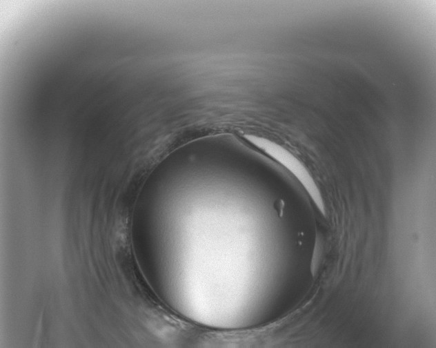 X0000062150033200512121319