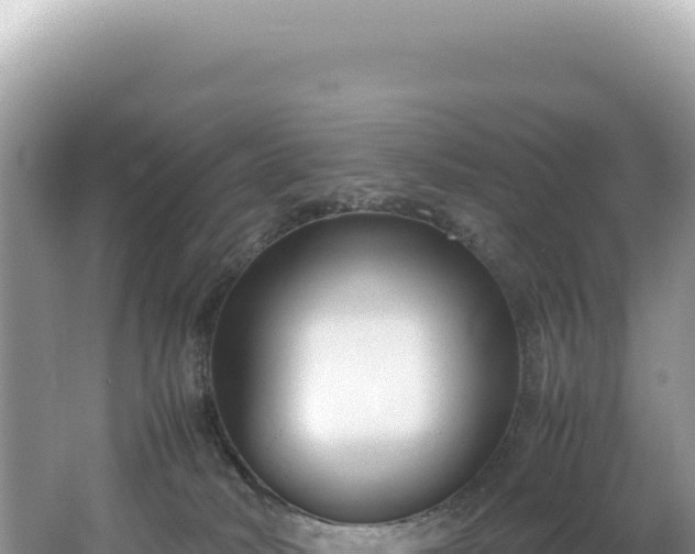 X0000062150034200512121319