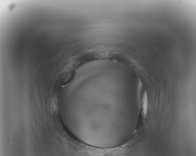 X0000062150035200512121319