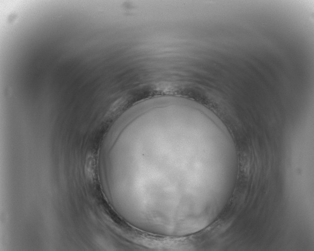 X0000062150036200512121319