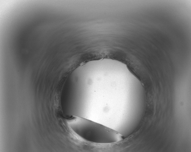 X0000062150037200512121319