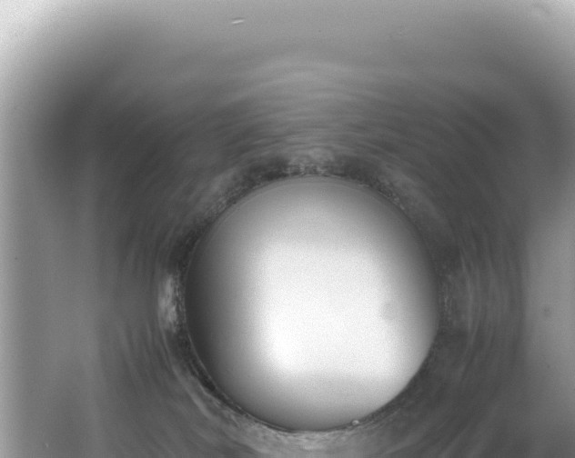 X0000062150038200512121319