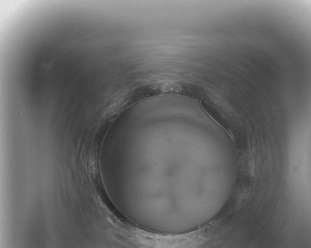 X0000062150039200512121319