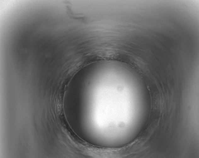 X0000062150040200512121319