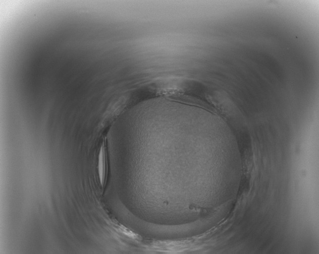 X0000062150041200512121319