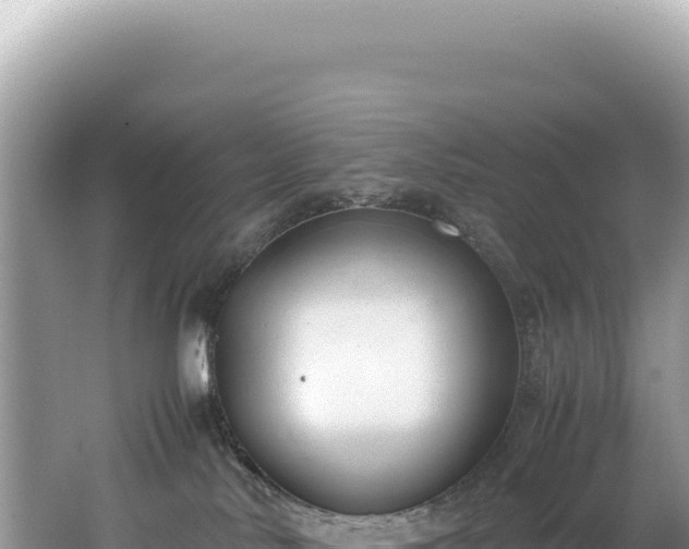 X0000062150042200512121319