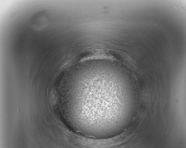 X0000062150043200512121319