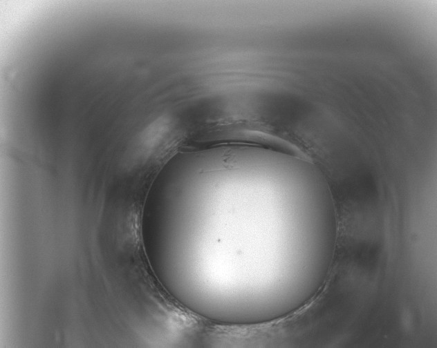 X0000062150045200512121319