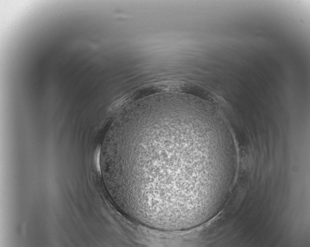 X0000062150047200512121319