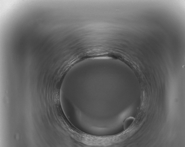 X0000062150048200512121319