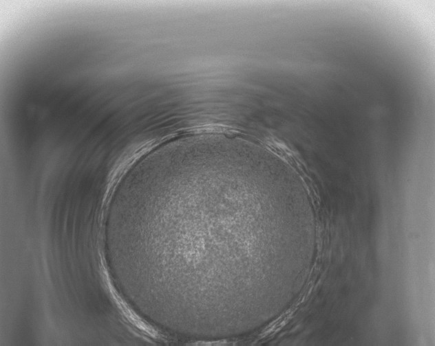 X0000062150049200512121318