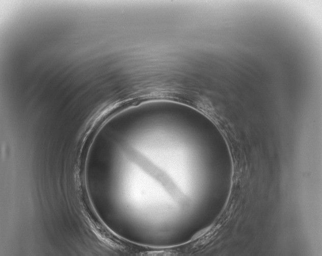 X0000062150050200512121318