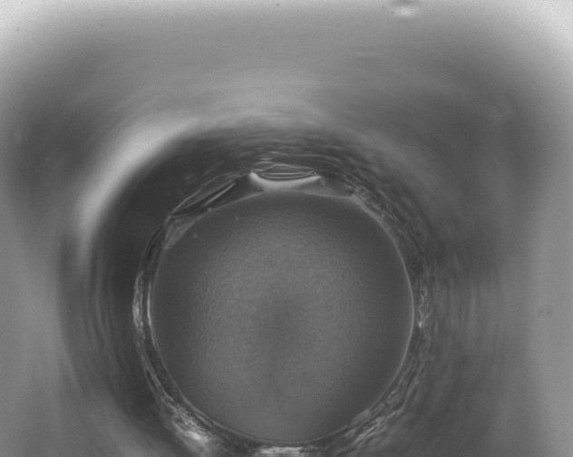 X0000062150052200512121318