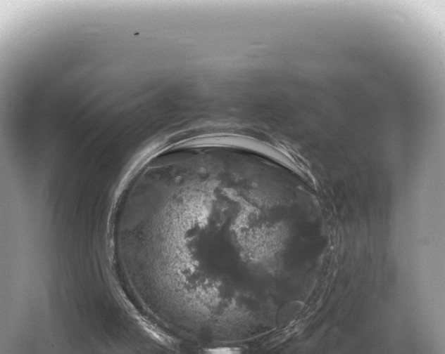 X0000062150053200512121318