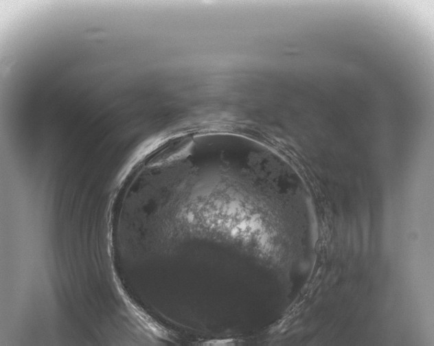 X0000062150054200512121318