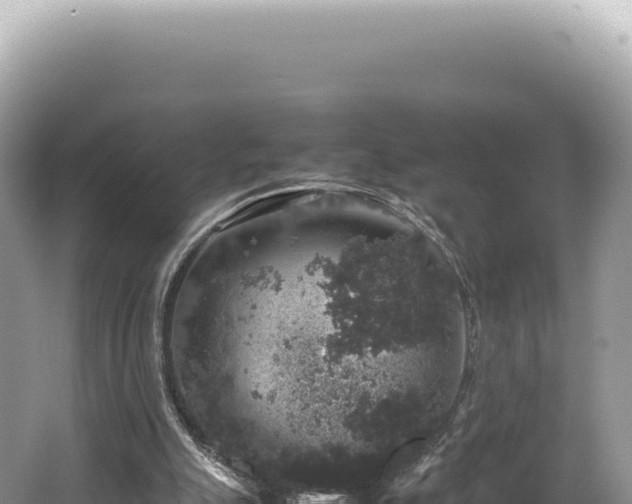 X0000062150055200512121318