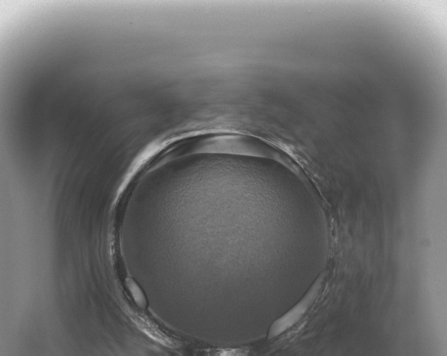 X0000062150056200512121318