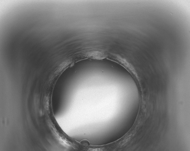 X0000062150057200512121318