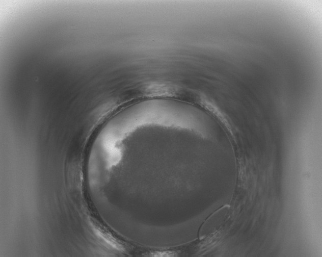 X0000062150059200512121318