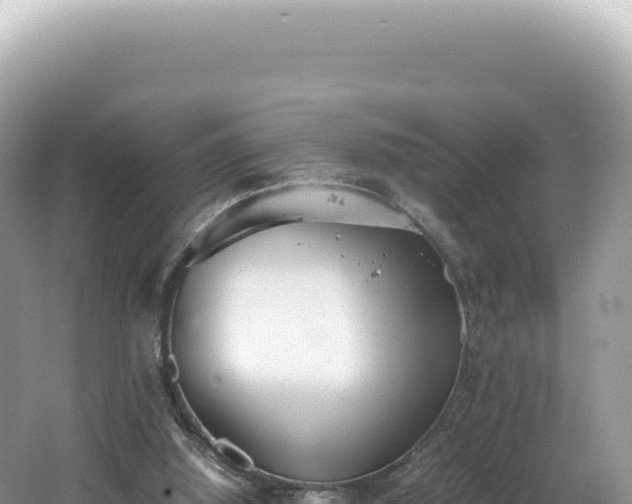 X0000062150060200512121318