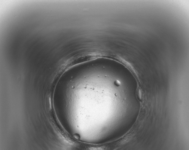 X0000062150061200512121318