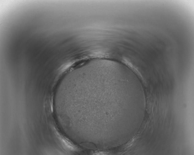 X0000062150062200512121318