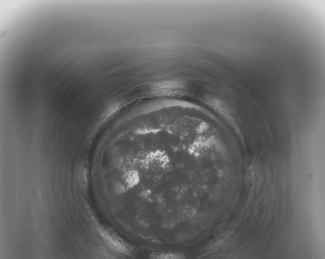 X0000062150063200512121318