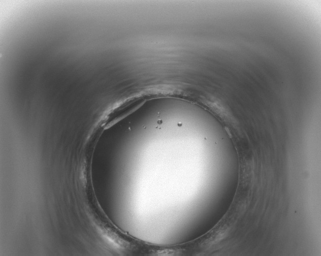 X0000062150064200512121318