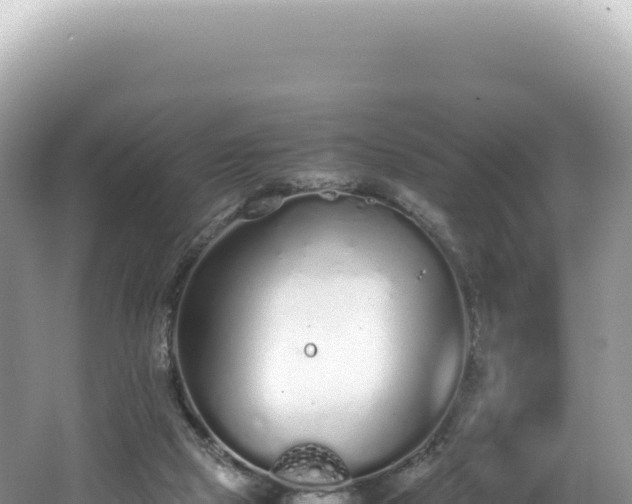 X0000062150065200512121318