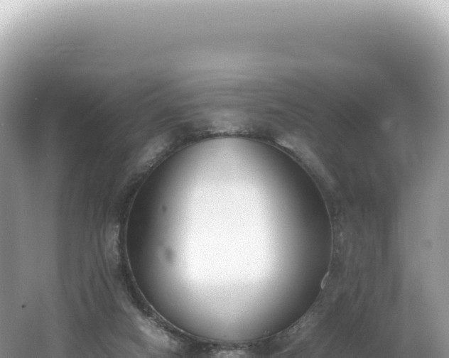 X0000062150066200512121318