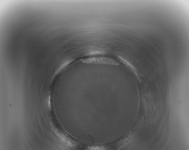 X0000062150067200512121319