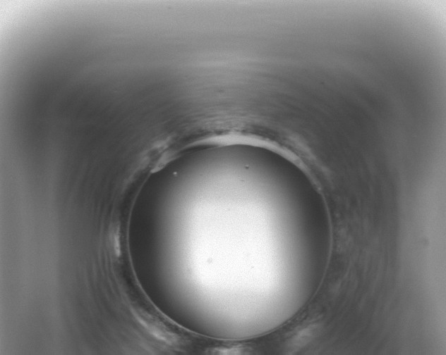 X0000062150068200512121319