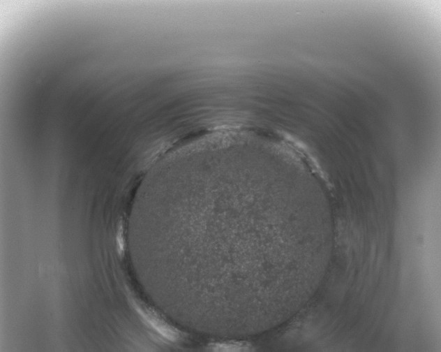 X0000062150069200512121319